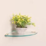 Quality Glass Multi-Purpose Glass Shelves Wall Mount Shelf for Bathroom Bedroom Living Room Office and Kitchen Brass Finish Transparent Dimension: 9" L x 9" H Inches Pack of 1 WS 014